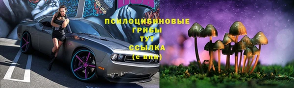 мдпв Куйбышев