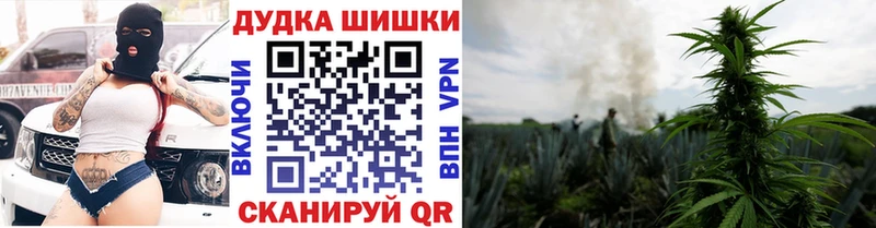 Шишки марихуана SATIVA & INDICA Лысково